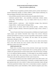 Europos įmonių konkurencingumas 3 puslapis
