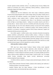 Europos įmonių konkurencingumas 4 puslapis