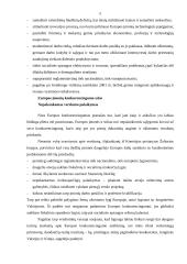 Europos įmonių konkurencingumas 5 puslapis