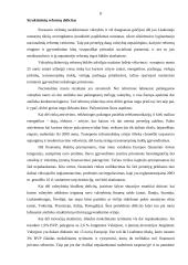 Europos įmonių konkurencingumas 8 puslapis