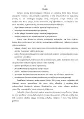 Europos įmonių konkurencingumas 10 puslapis