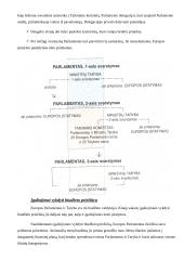 Europos Parlamento nariai, darbas, įgaliojimai bei vaidmuo 13 puslapis