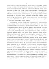 Europos Sąjungos  (ES) santykiai su Jungtinėmis Amerikos Valstijomis (JAV) 11 puslapis