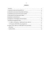 Europos Sąjungos (ES) biudžetas 2 puslapis