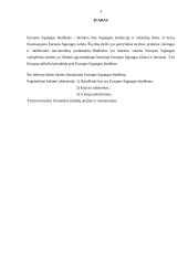 Europos Sąjungos (ES) biudžetas 3 puslapis