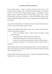 Europos Sąjungos (ES) biudžetas 4 puslapis