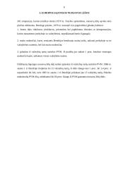 Europos Sąjungos (ES) biudžetas 6 puslapis