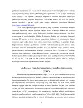 Europos Sąjungos (ES) humanitarinė pagalba 6 puslapis