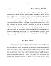 Europos Sąjungos (ES) kaip tarptautinės organizacijos veikla 15 puslapis