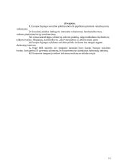 Europos Sąjunga ir jos socialinė politika 13 puslapis