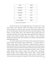 Europos Sąjungos (ES) užuomazgos (iki 1958 metų) 16 puslapis