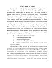 Europos Sąjungos (ES) užuomazgos (iki 1958 metų) 9 puslapis