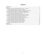 Europos Sąjungos regioninės politikos įgyvendinimas 2 puslapis