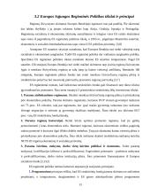 Europos Sąjungos regioninės politikos įgyvendinimas 13 puslapis