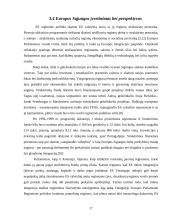 Europos Sąjungos regioninės politikos įgyvendinimas 17 puslapis