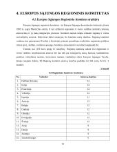 Europos Sąjungos regioninės politikos įgyvendinimas 19 puslapis