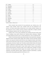 Europos Sąjungos regioninės politikos įgyvendinimas 20 puslapis