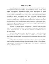 Europos Sąjungos regioninės politikos įgyvendinimas 3 puslapis