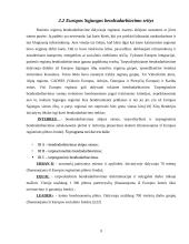 Europos Sąjungos regioninės politikos įgyvendinimas 9 puslapis