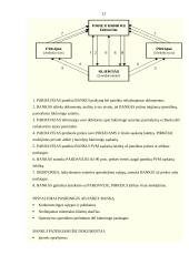 Faktoringas ir faktoringo operacijos 12 puslapis