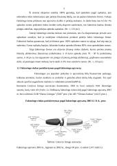 Faktoringas ir faktoringo operacijos 4 puslapis