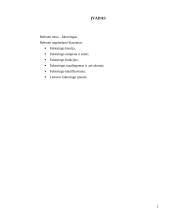 Viskas apie faktoringą 2 puslapis