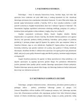 Viskas apie faktoringą 3 puslapis