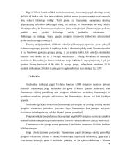 Viskas apie faktoringą 5 puslapis