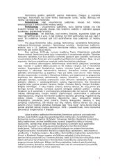 Feminizmo tradicijų atspindžiai šiuolaikinėje Vokietijos moterų literatūroje 2 puslapis