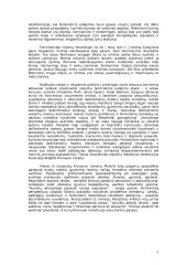 Feminizmo tradicijų atspindžiai šiuolaikinėje Vokietijos moterų literatūroje 6 puslapis