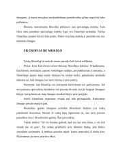 Filosofinė pažinimo samprata 4 puslapis