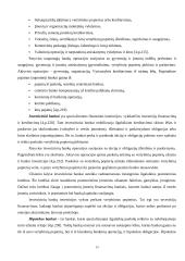 Finansinės institucijos 13 puslapis