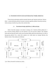 Finansinės institucijos 3 puslapis