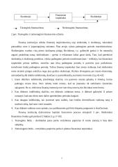 Finansinės institucijos 5 puslapis