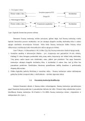 Finansinės institucijos 6 puslapis