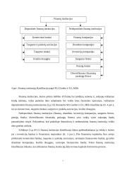 Finansinės institucijos 7 puslapis
