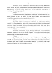 Finansinės veiklos analizė: UAB "Tekos baldai" 13 puslapis