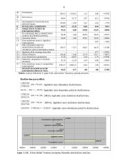 Finansinės veiklos analizė: UAB "Tekos baldai" 8 puslapis