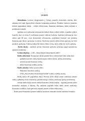 Finansinės veiklos analizė: UAB Bona Parkett Deutschland GmbH 2 puslapis