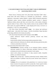 Finansinės veiklos analizė: UAB Bona Parkett Deutschland GmbH 3 puslapis