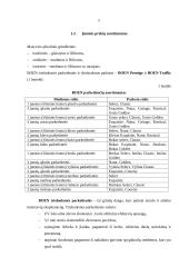 Finansinės veiklos analizė: UAB Bona Parkett Deutschland GmbH 4 puslapis