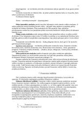 Finansiniai šaltiniai 11 puslapis