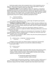 Finansiniai šaltiniai 12 puslapis