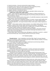 Finansiniai šaltiniai 14 puslapis
