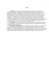 Finansiniai šaltiniai 3 puslapis