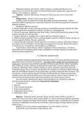 Finansiniai šaltiniai 10 puslapis