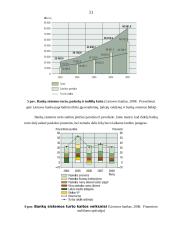 Finansinių institucijų įtaka finansų rinkai 11 puslapis