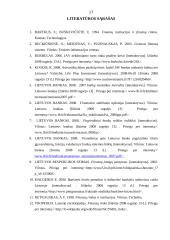 Finansinių institucijų įtaka finansų rinkai 17 puslapis