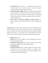 Finansų rinkų tipai 11 puslapis