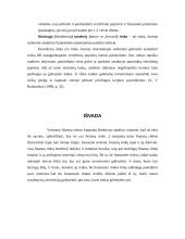 Finansų rinkų tipai 13 puslapis